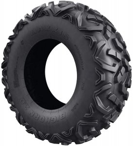 Maxxis Bighorn Tire