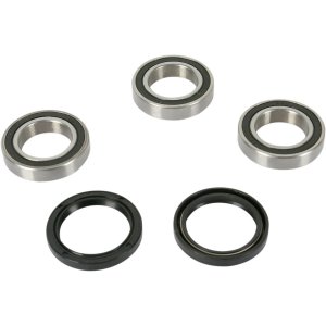 Wheel Bearing and Seal Kit